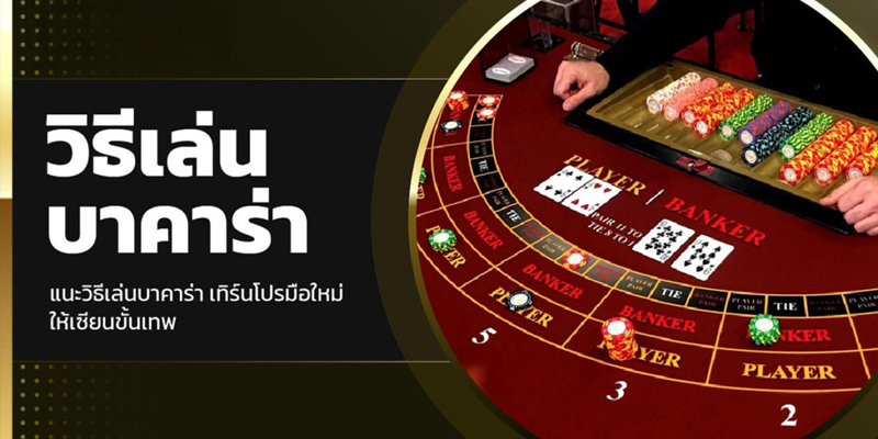 โต๊ะบาคาร่าพร้อมตำแหน่งการเดิมพัน Player Banker Tie